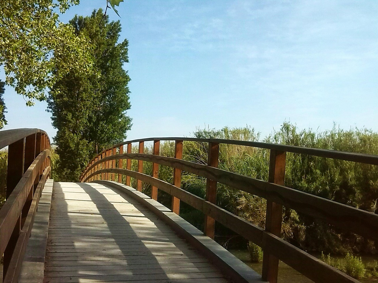 our-services-01 bridge, tree, path, entrepreneurship, landscape, nature, park, spring, begin, entrepreneurship, entrepreneurship, entrepreneurship, entrepreneurship, entrepreneurship