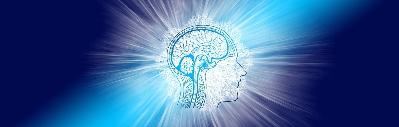 découvrez l'intelligence émotionnelle : développez vos compétences relationnelles, gérez mieux vos émotions et améliorez votre bien-être au quotidien grâce à des conseils pratiques et des exemples concrets.